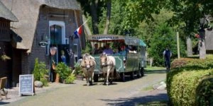 B&B - Orvelte