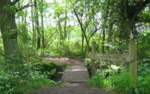 B&B Zwiggelte - Museumdorp Orvelte, het Houten pad van Theodoor