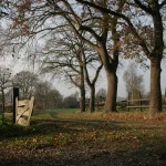 B&B in den Groene Specht - Bed and Breakfast in Drenthe