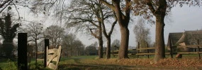 B&B in den Groene Specht - Bed and Breakfast in Drenthe