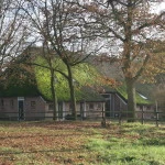 B&B in den Groene Specht - Bed and Breakfast in Drenthe