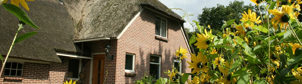 B&B in den Groene Specht