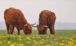 pic_de-omgeving
