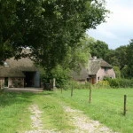 B&B in den Groene Specht - Bed and Breakfast in Drenthe