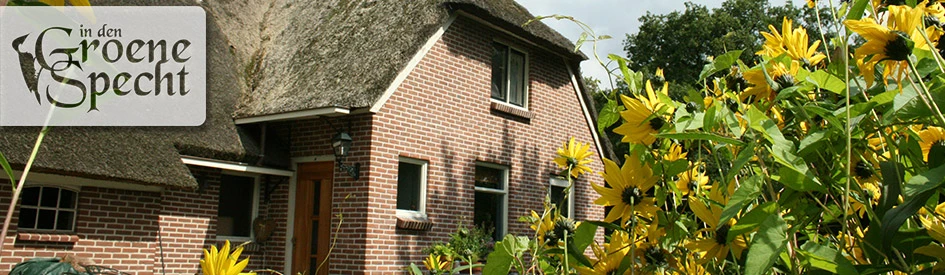 BNB Drenthe | In den Groene Specht